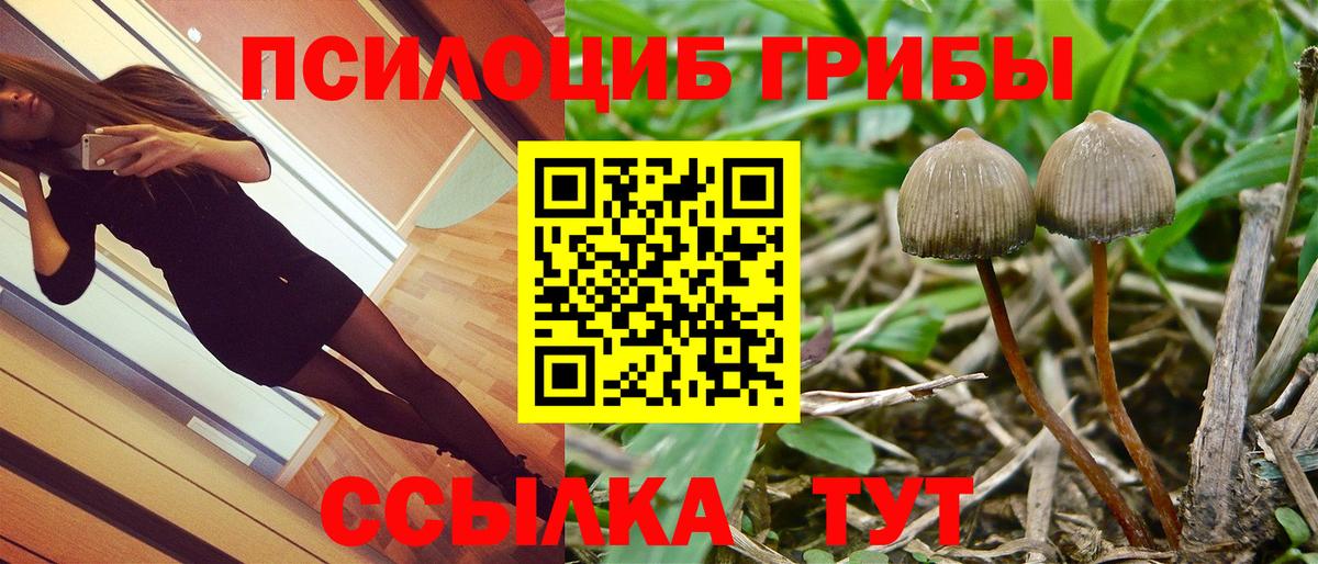 Асбест  Галлюциногенные грибы Psilocybine cubensis  Псилоцибиновые грибы Magic Shrooms  Вход с VPN 
