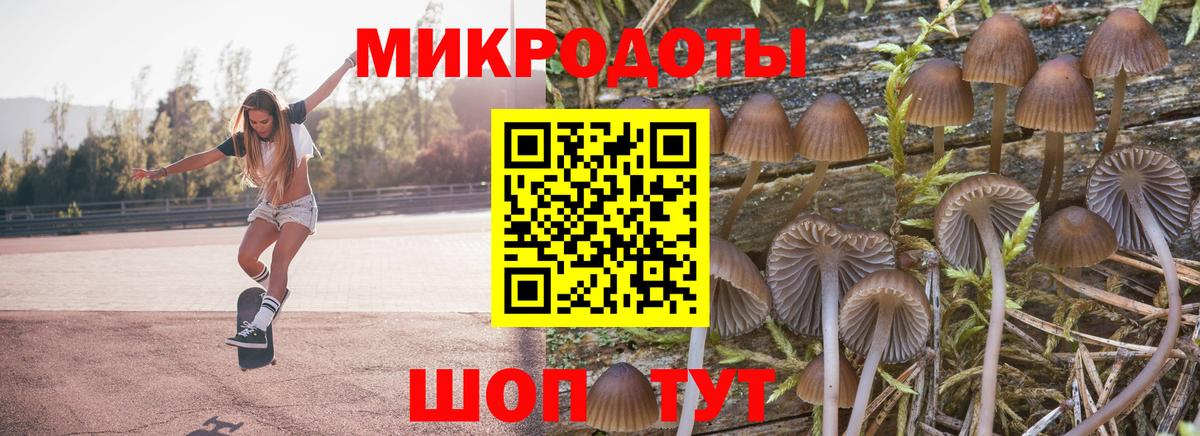 Псилоцибиновые грибы мицелий Асбест